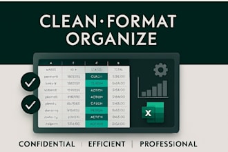 clean, format and organize excel data professionally
