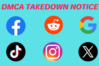 report facebook, tiktok, instagram, reddit infringements under dmca