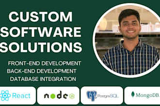 develop custom web applications