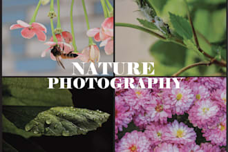 do professional nature photography for your projects