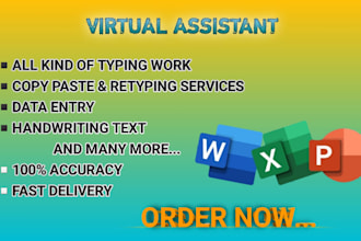 do fast typing job, data entry works and your typist