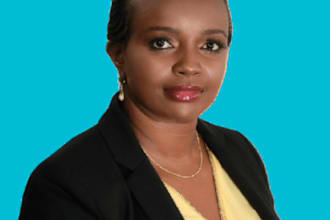 write on executive, judiciary, paper, diplomacy, regulation and law, assignment