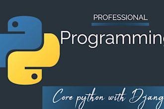 professional python programming developer