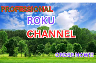 develop a professional roku channel