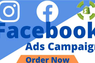 run facebook ads, campaign, fb ads manager, instagram ads