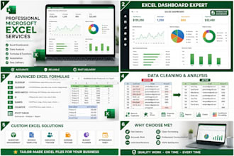 do excel data analysis,  dashboard and visualization