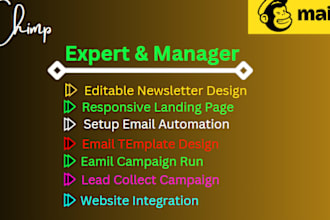 setup mailchimp automation and email marketing design