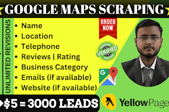 scrape google maps and yellow pages for precise b2b leads