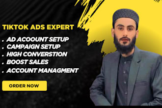 be tiktok ads expert, campaign setup, ads account manager
