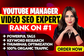 do best youtube video SEO expert optimization and channel growth manager