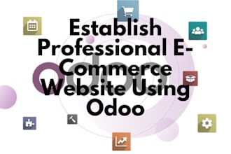 establish a professional ecommerce website using odoo