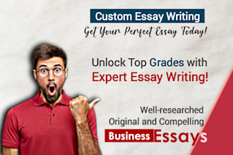 write business and customised essays