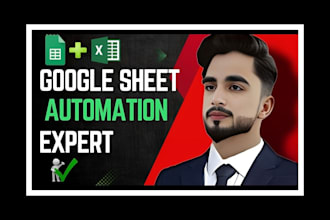 excel pro services data analysis automation custom solutions
