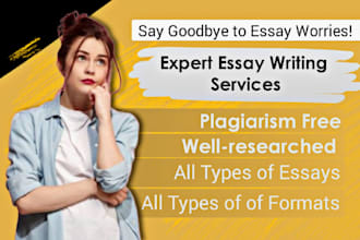write expert and professional essays