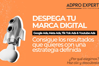 maximizar tu ROI con un experto en google, meta o tiktok ads