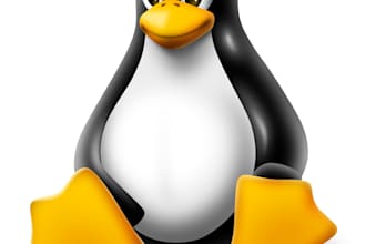 provide linux server expertise