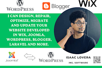 repair your wordpress site or any cms now