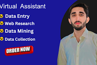 data entry, web research, excel, admin support work,email, copy paste