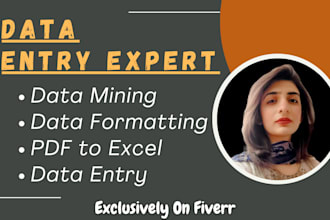 be your data mining, data formatting, data entry, and pdf to excel expert