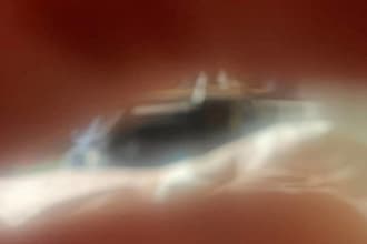 be your professional singer, both female and male, or demo singer if needed