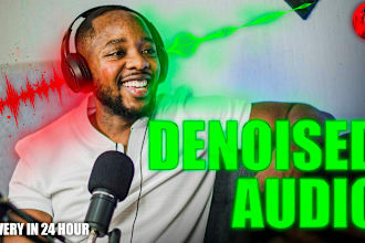 do denoise audio, remove background noise and audio engineering