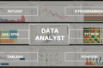 do SAS, rstudio, r programming, excel, python, tableau, power bi, spss project