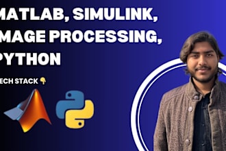 do matlab programing, matlab simulink and image processing