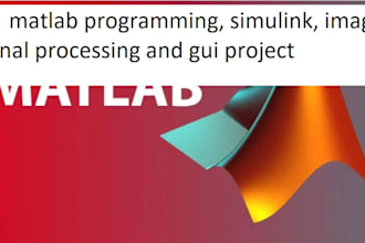 do  matlab programming, simulink, image, signal processing and gui project