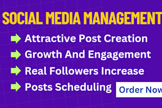 do schedule post on yt, fb, twitter, instagram etc