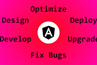 develop, upgrade, fix or optimize your angular application
