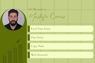 do accurate excel data entry, PDF conversion, web research