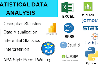do statistical data analysis using spss,excel, minitab,r studio,stata,power bi