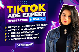 set up your tiktok and meta ad campaigns, ads manager