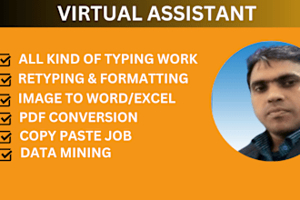 do fastest data entry, typing , retyping , copy paste, data mining