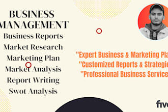 write business plan, market research, strategic management and case study report