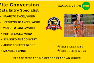 convert PDF or image to excel or word, scanned file conversion and manual typing