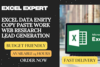 do urgent reliable excel data entry, web research