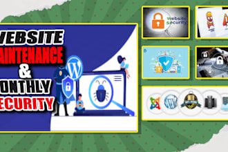 provide website maintenance and security monthly