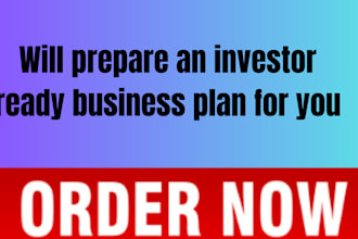 create an investor ready business plan for you