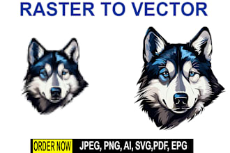 do professional vector tracing, manually and high resolution