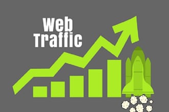 do website promote through safely organic website traffic