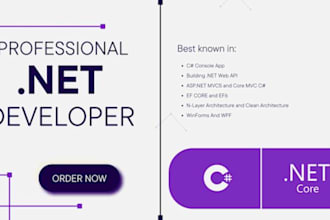 develop a professional dot net web app from scratch