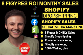 pro shopify manager 8 figure ROI monthly sales for shopify website marketing