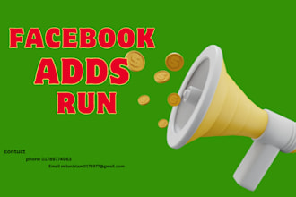 facebook ads run for you