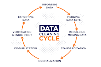 data enrty, web reasearch, data clean, scrub, copy paste,