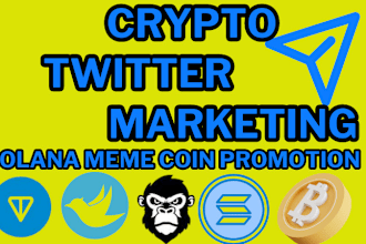 boost crypto twitter promotion, solana memecoin project to hit million investors
