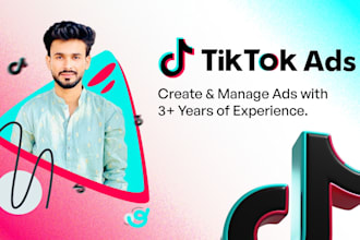 expert tiktok ads manager run video ad campaign
