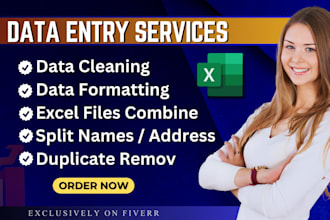 do ms excel data cleaning, data formatting, data merge excel, fast data entry