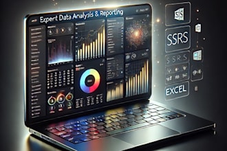 do data analysis, create reports with power bi, ssrs, excel