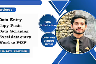 do efficiently data entry , copy paste, data scraping, word to pdf